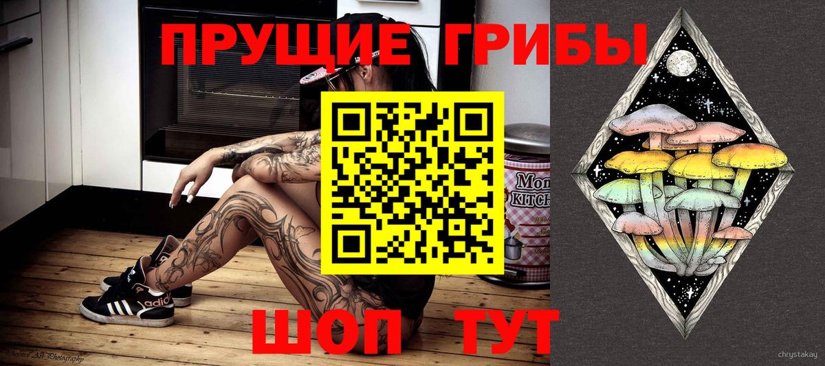Ярославль  Псилоцибиновые грибы прущие грибы  Вход с VPN 