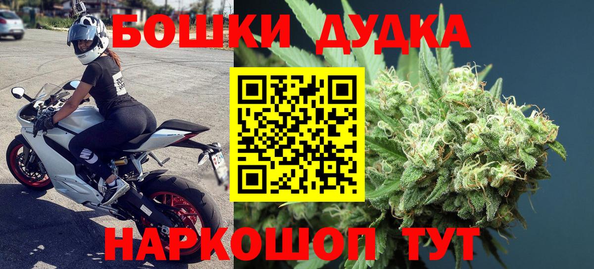 Бошки Шишки план Ярославль